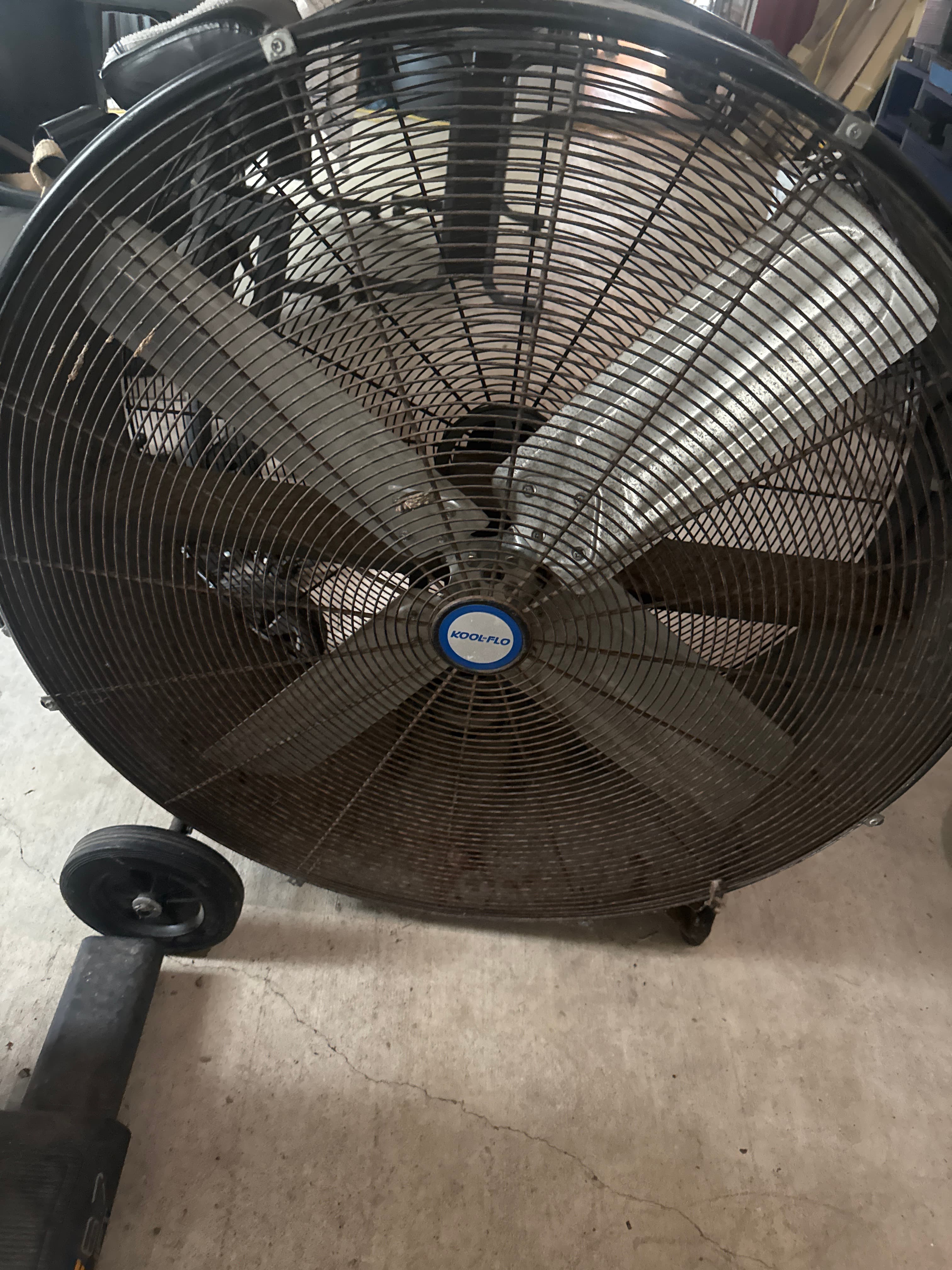Fan